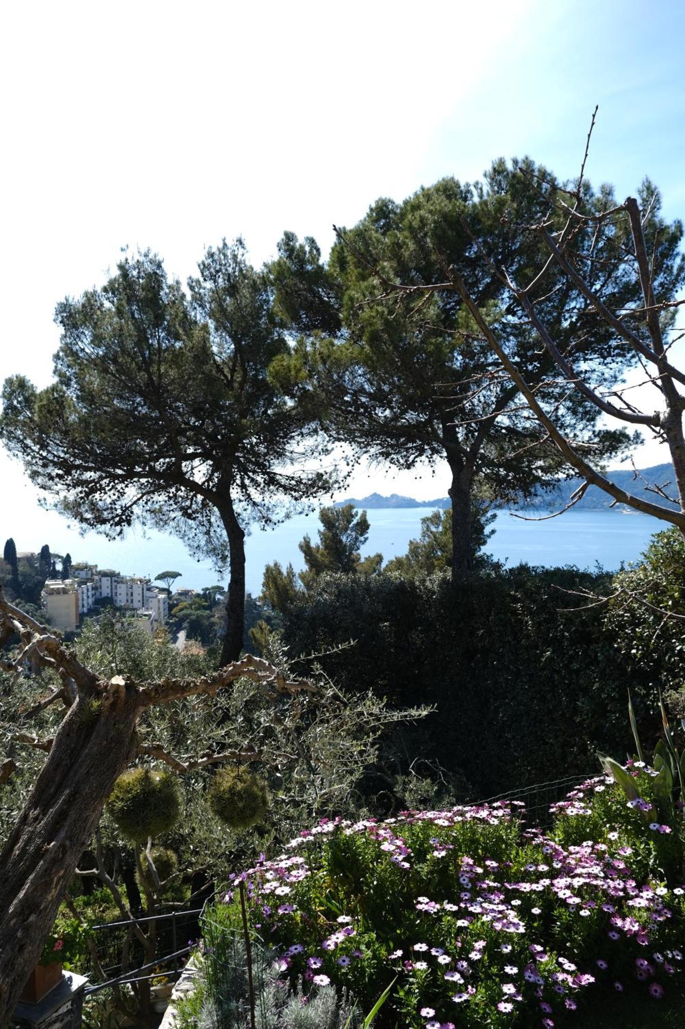 L'Alcova Tra Gli Ulivi By Portofinovacanze Zoagli Kültér fotó