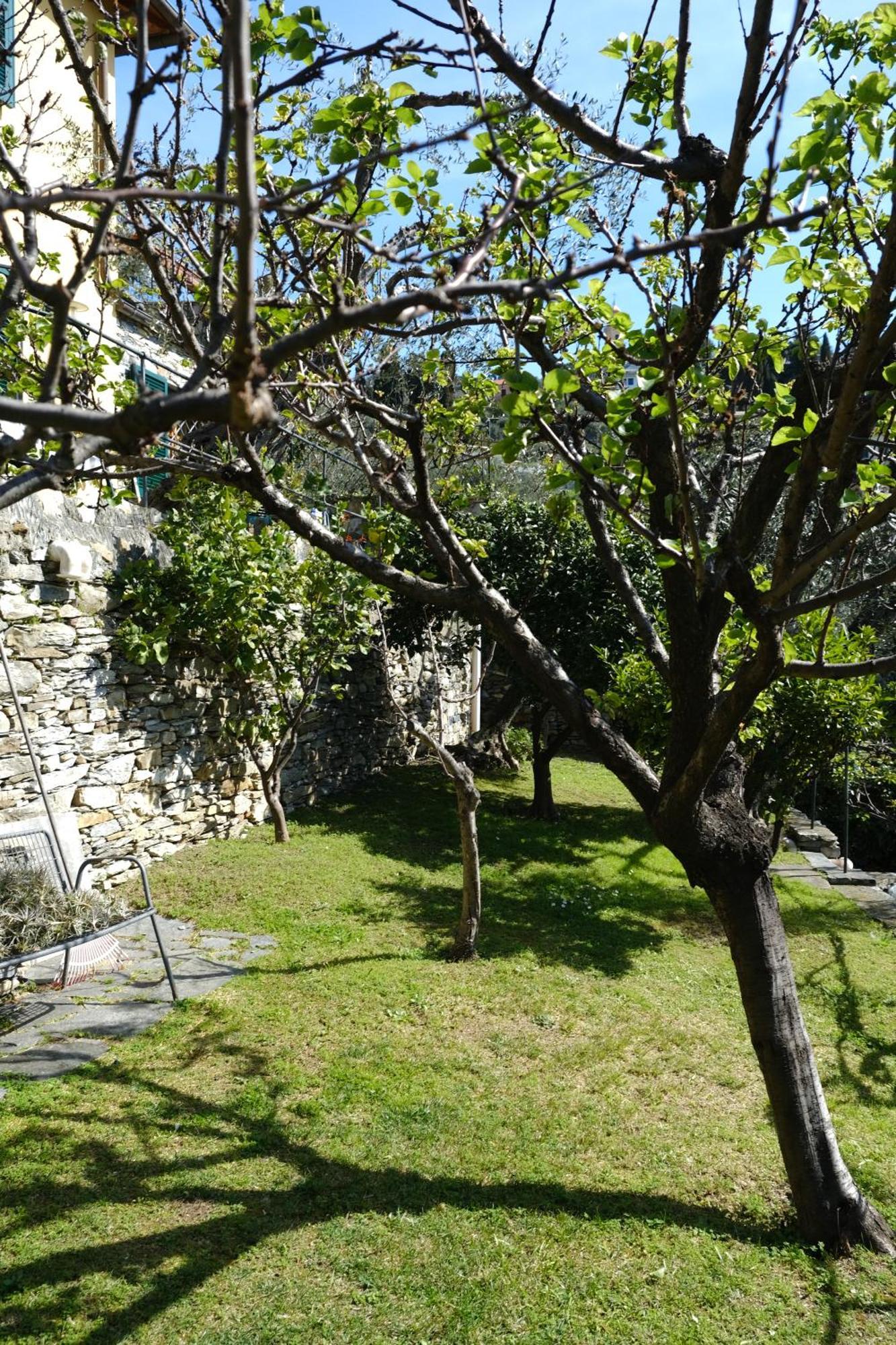 L'Alcova Tra Gli Ulivi By Portofinovacanze Zoagli Kültér fotó