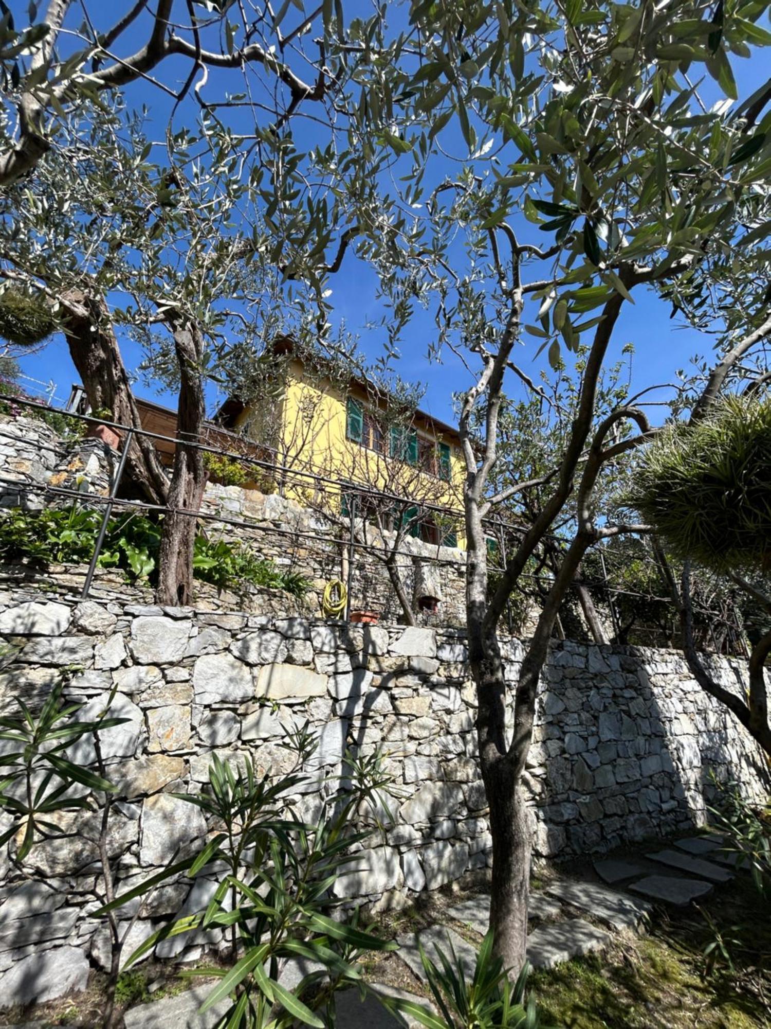 L'Alcova Tra Gli Ulivi By Portofinovacanze Zoagli Kültér fotó