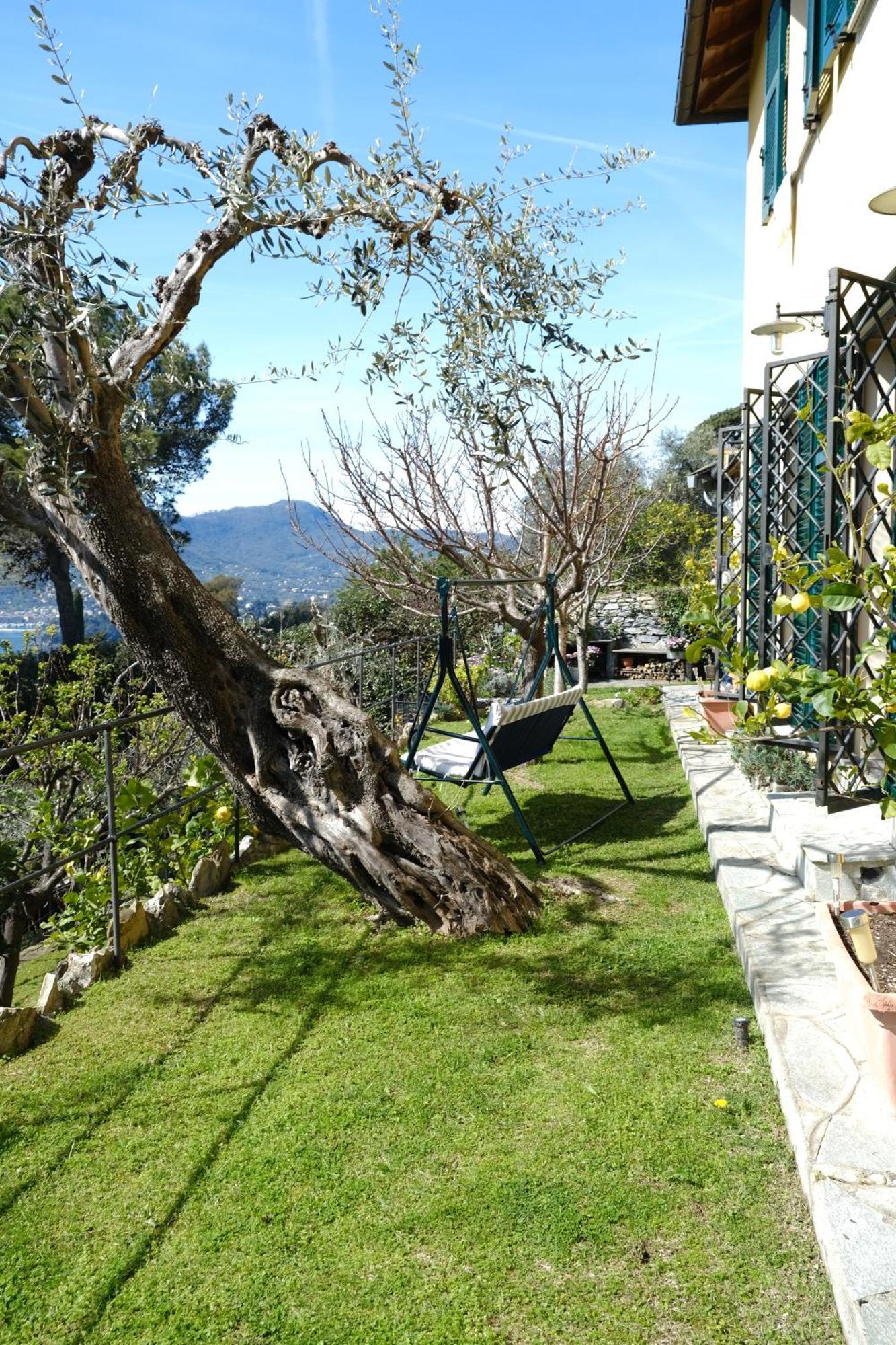 L'Alcova Tra Gli Ulivi By Portofinovacanze Zoagli Kültér fotó